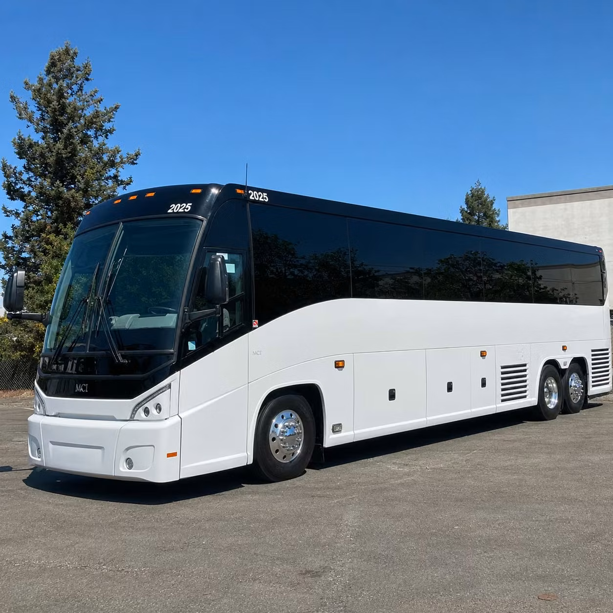 for quick and easy cruise transfers a boynton beach long distance bus rental is the smart move